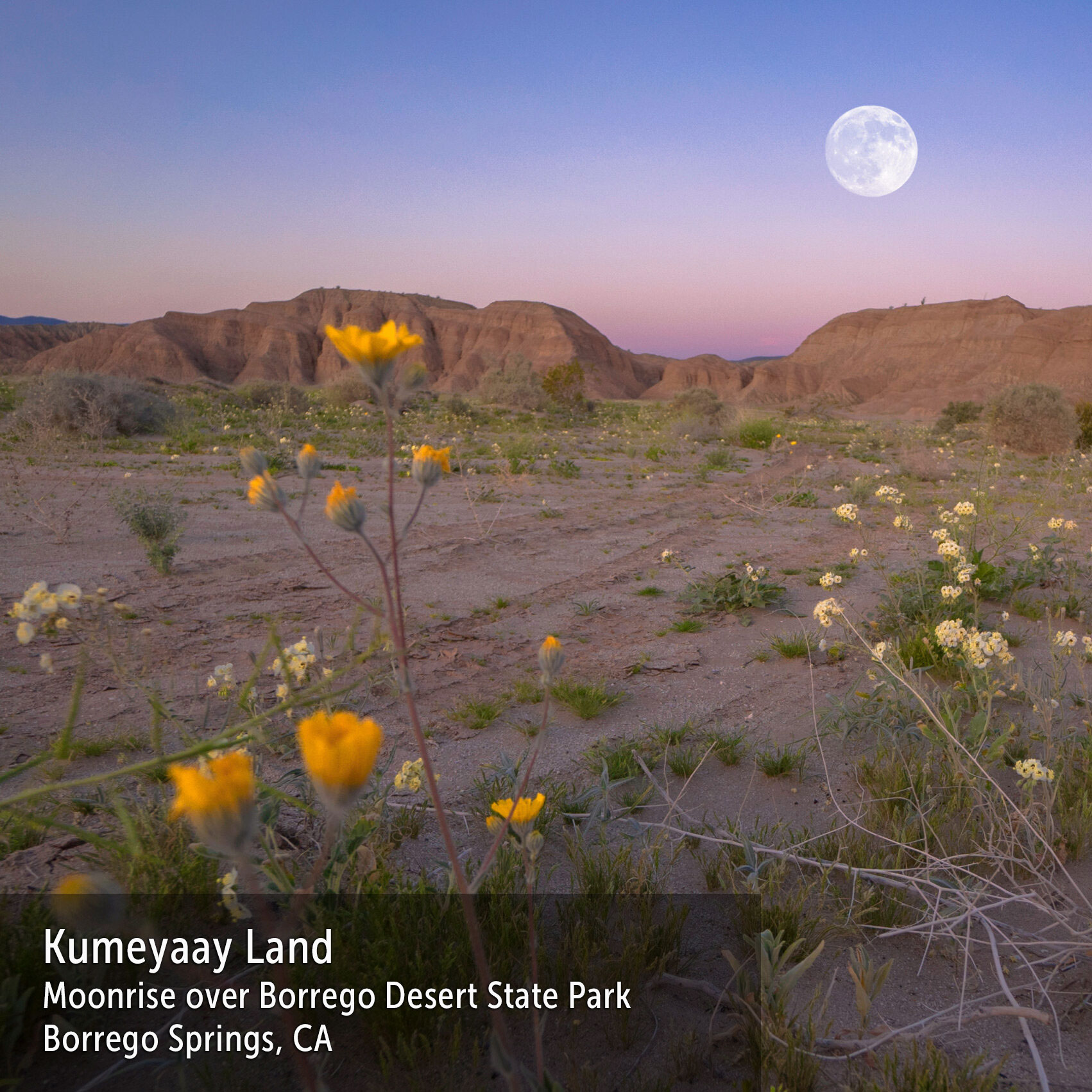 Kumeyaay Land - Moonrise over Borrego Springs Desert State Park. Borrego Springs, CA